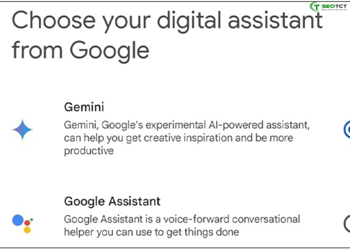 google gemini (10)
